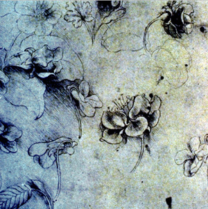 Flores, dibujo de Leonardo da Vinci