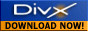 Get free DivX Player