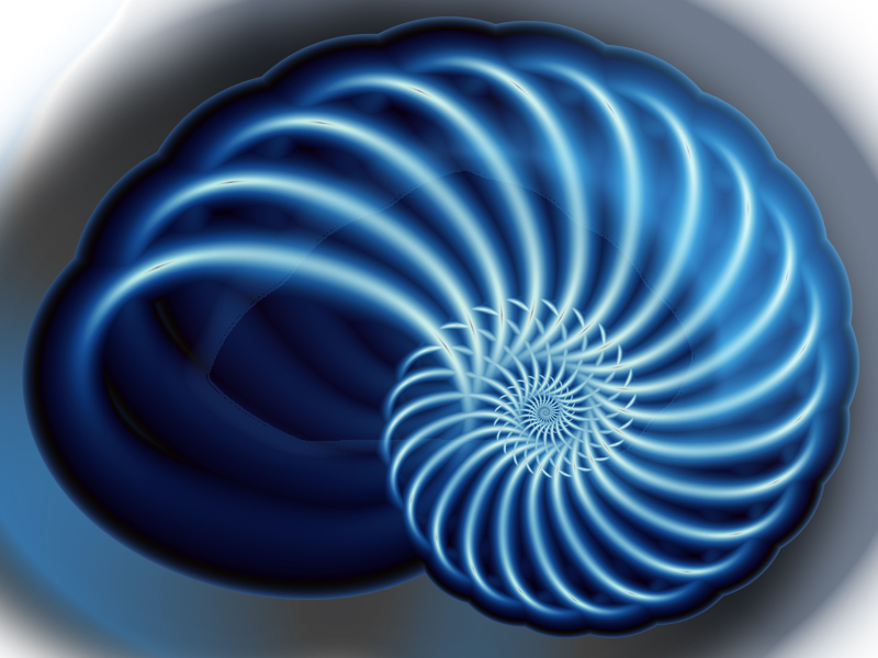 Fractal Art Wallpaper, Nautilus 6