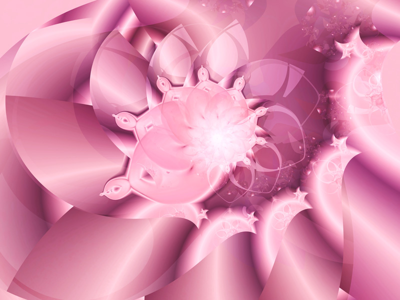 Fractal Art Wallpaper, Pink Bud