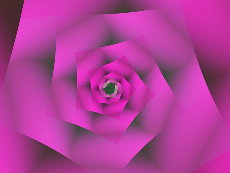 wallpaper rose pink. Pink Rose