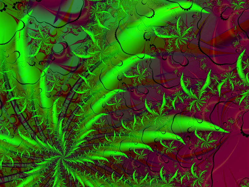 Fractal Art Wallpaper, Planta