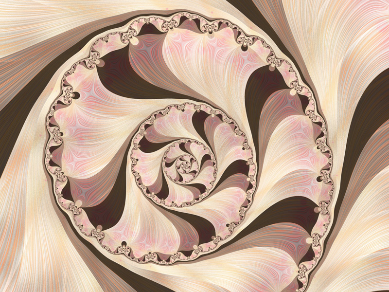 Fractal Art Wallpaper, Seashell