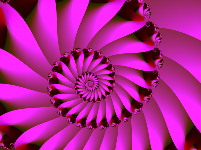 Fractal Art Wallpaper, Shell 2