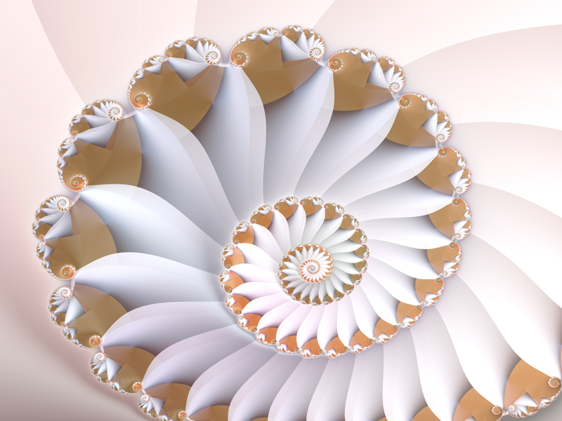 Fractal Art Wallpaper, White Nautilus Wallpaper