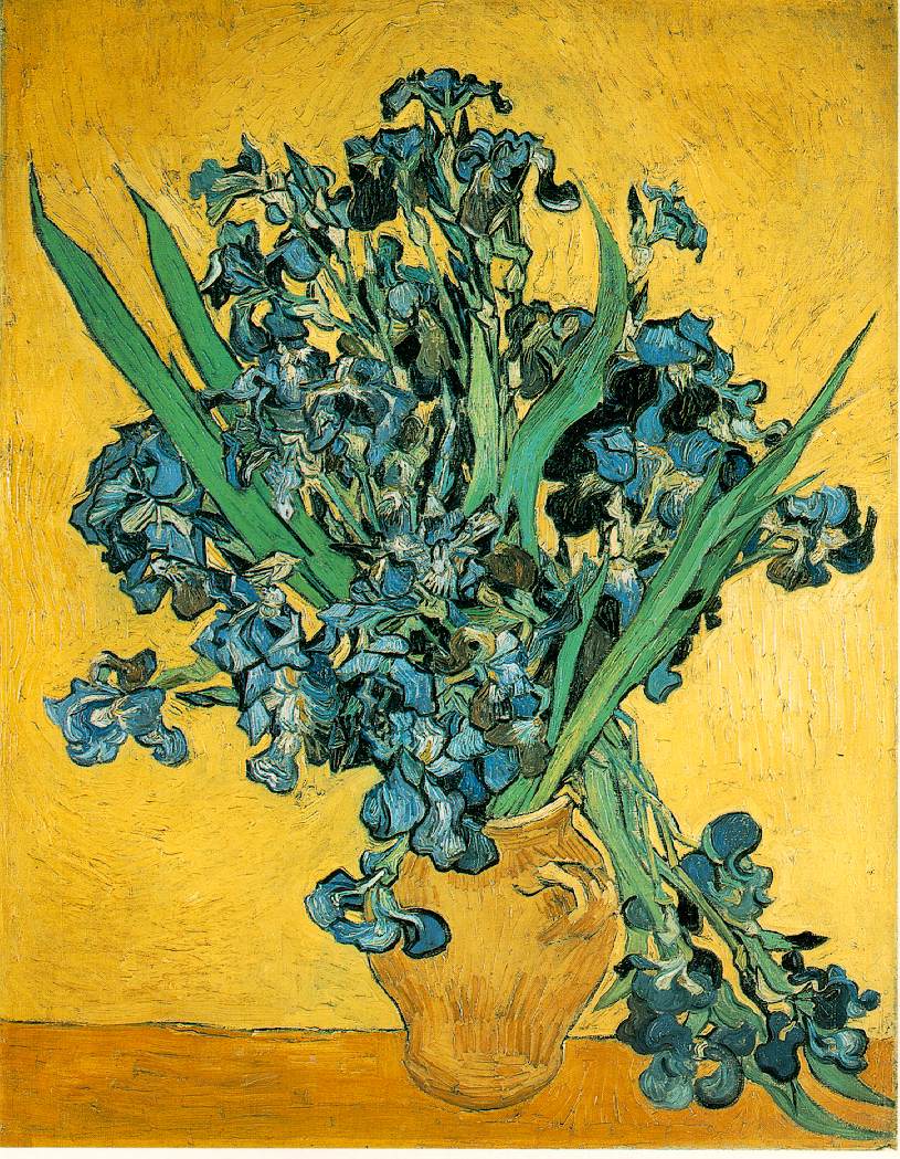 Irises, Vincent van Gogh, 1890