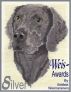 Weis-Awards Silver Award